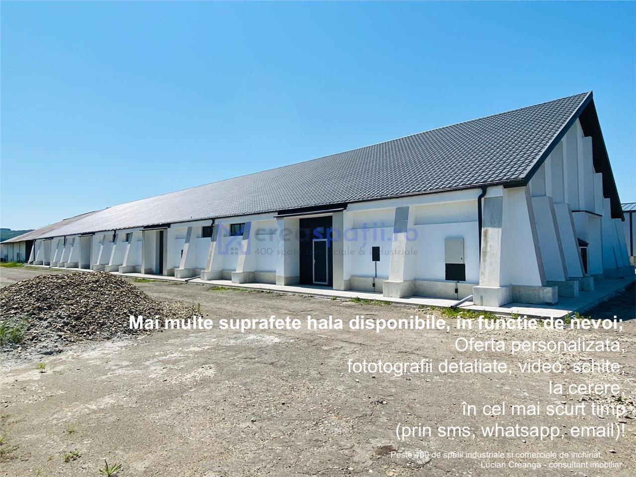 Hale, spatii comerciale de inchiriat, Tg. Neamt, 2001200mp, DN15B, Lukoil