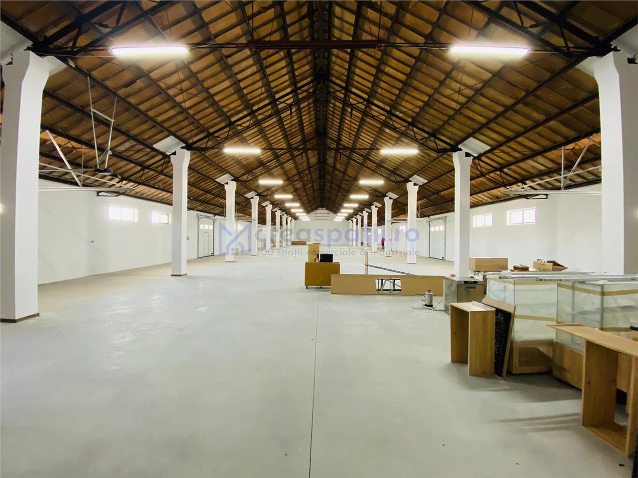 Hale, spatii comerciale de inchiriat, Tg. Neamt, 2001200mp, DN15B, Lukoil