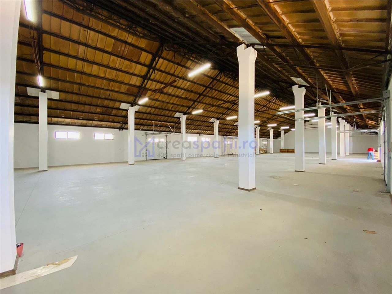 Hale, spatii comerciale de inchiriat, Tg. Neamt, 2001200mp, DN15B, Lukoil