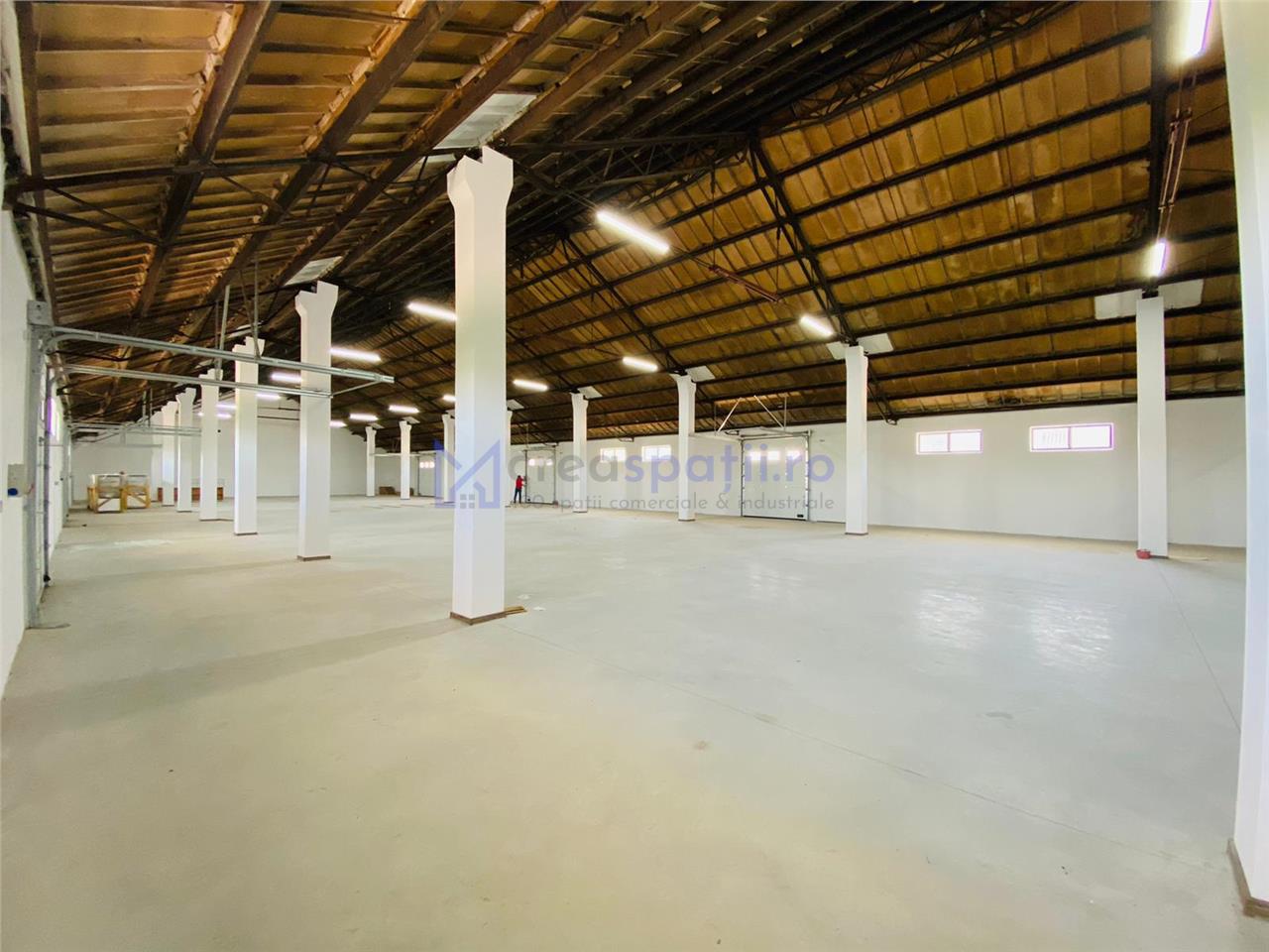 Hale, spatii comerciale de inchiriat, Tg. Neamt, 2001200mp, DN15B, Lukoil