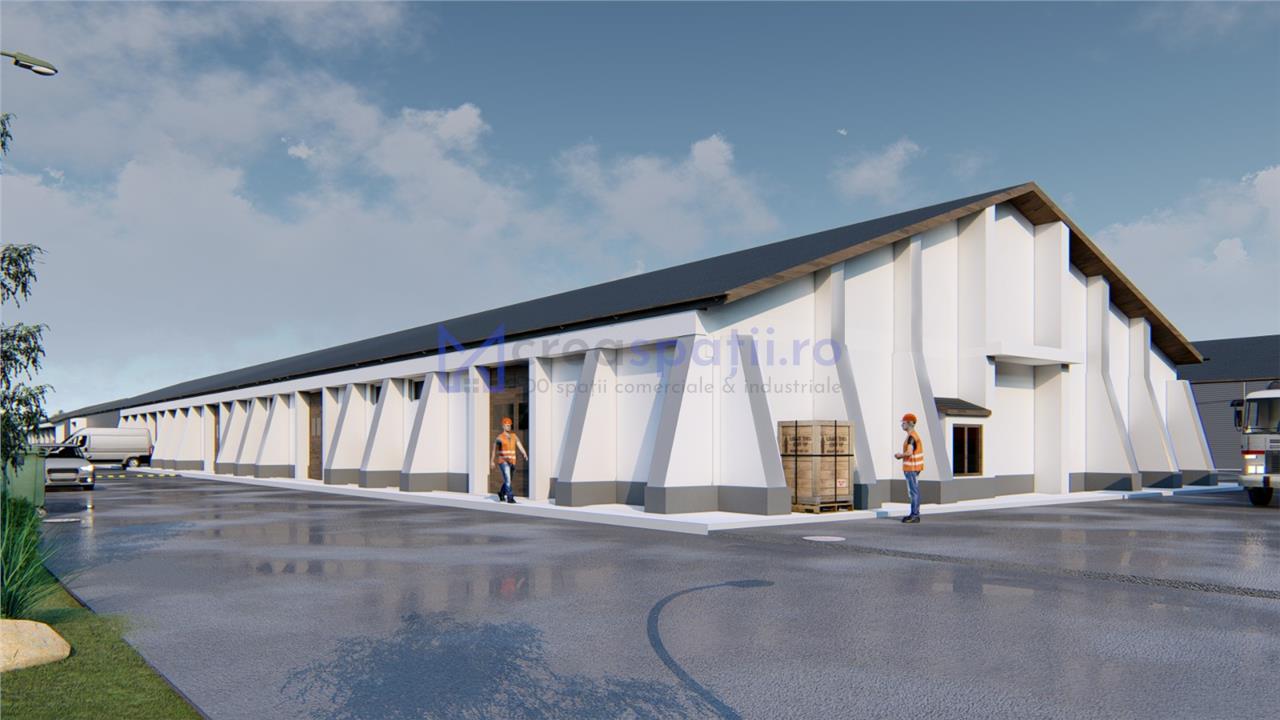 Hale, spatii comerciale de inchiriat, Tg. Neamt, 2001200mp, DN15B, Lukoil