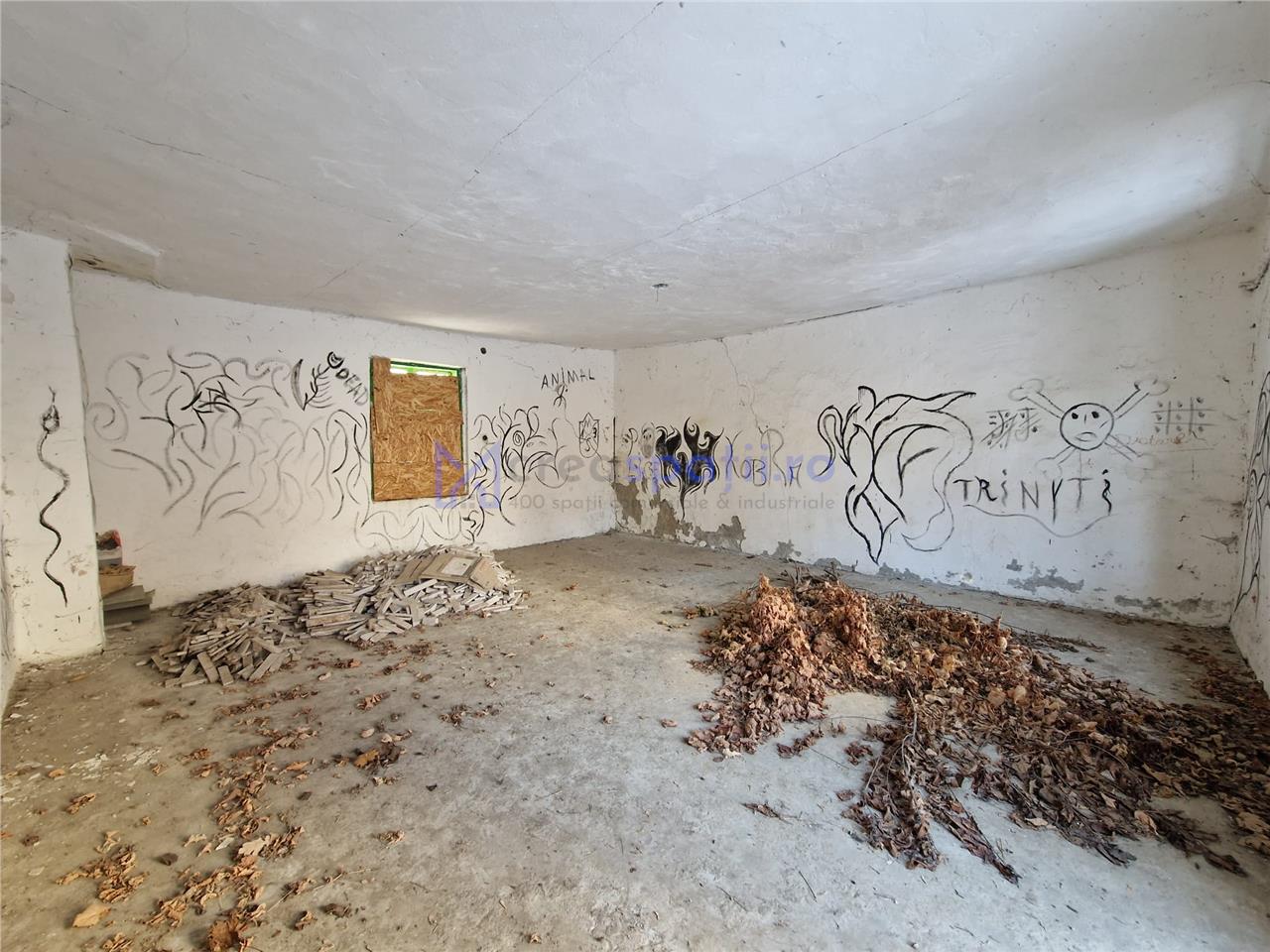 Spatiu versatil 296mp, teren 1766mp, Visan