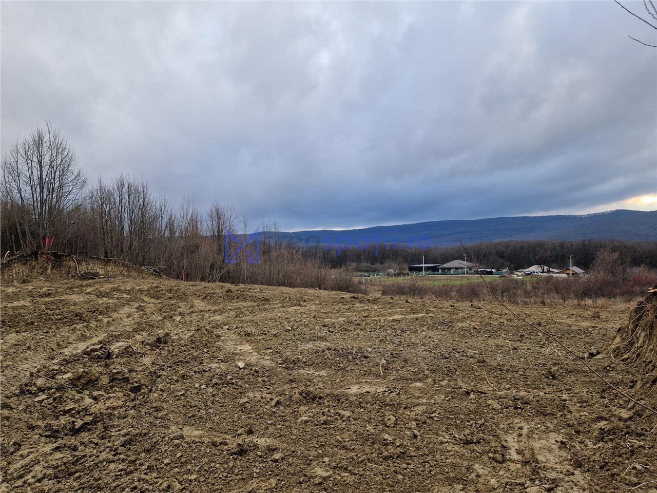 Teren parcele, de la 748mp la 3024mp, Barnova Sf. Ap. Petru