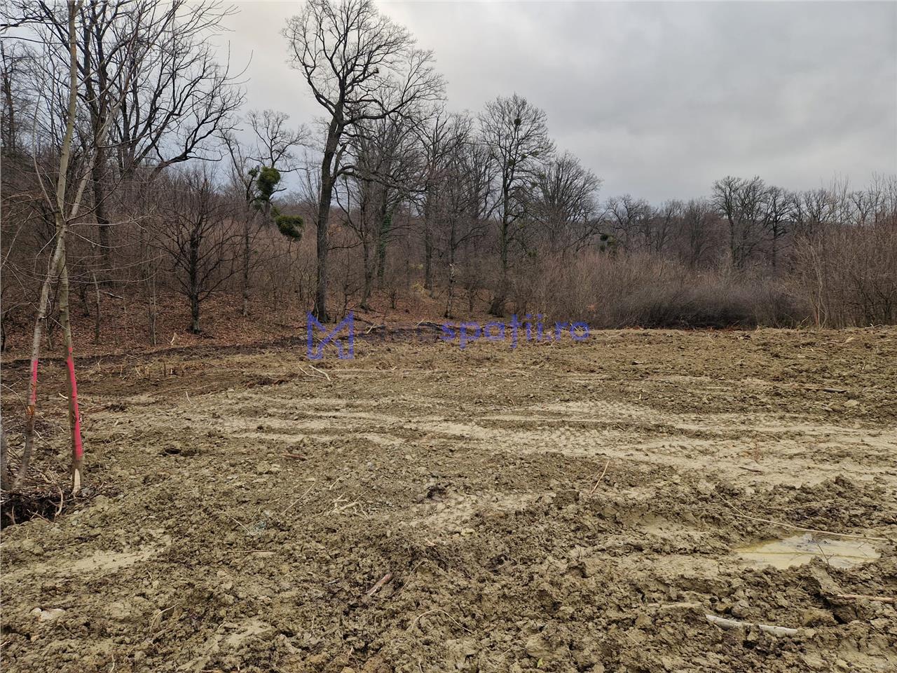 Teren parcele, de la 748mp la 3024mp, Barnova Sf. Ap. Petru