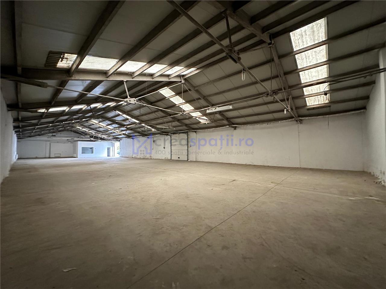 Hala de la 265mp la 530mp, centura, Tatarasi, intre Lidl si Kaufland