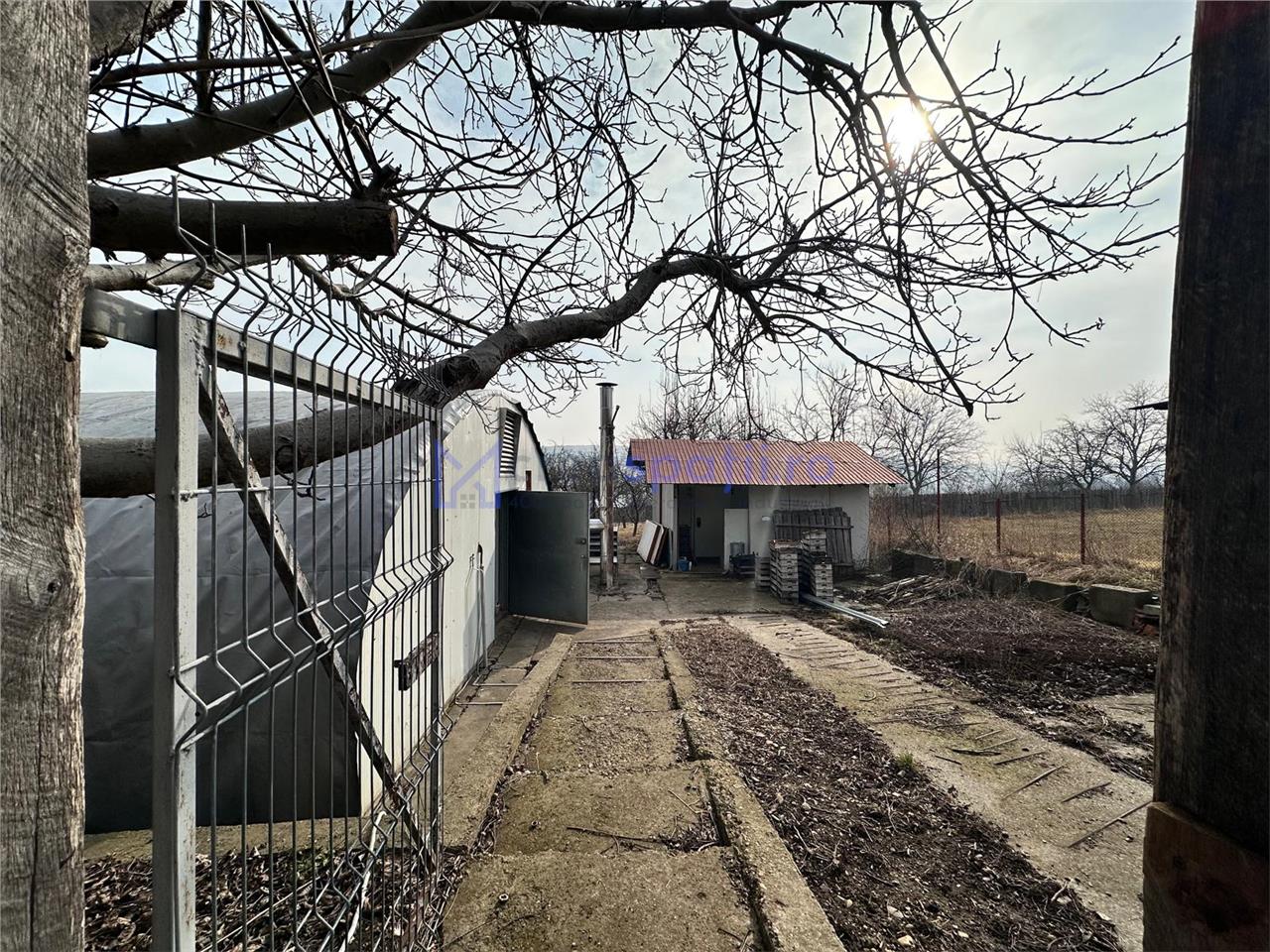 Hala/ cort ciupercarie, crestere pui, 400mp, Dumesti