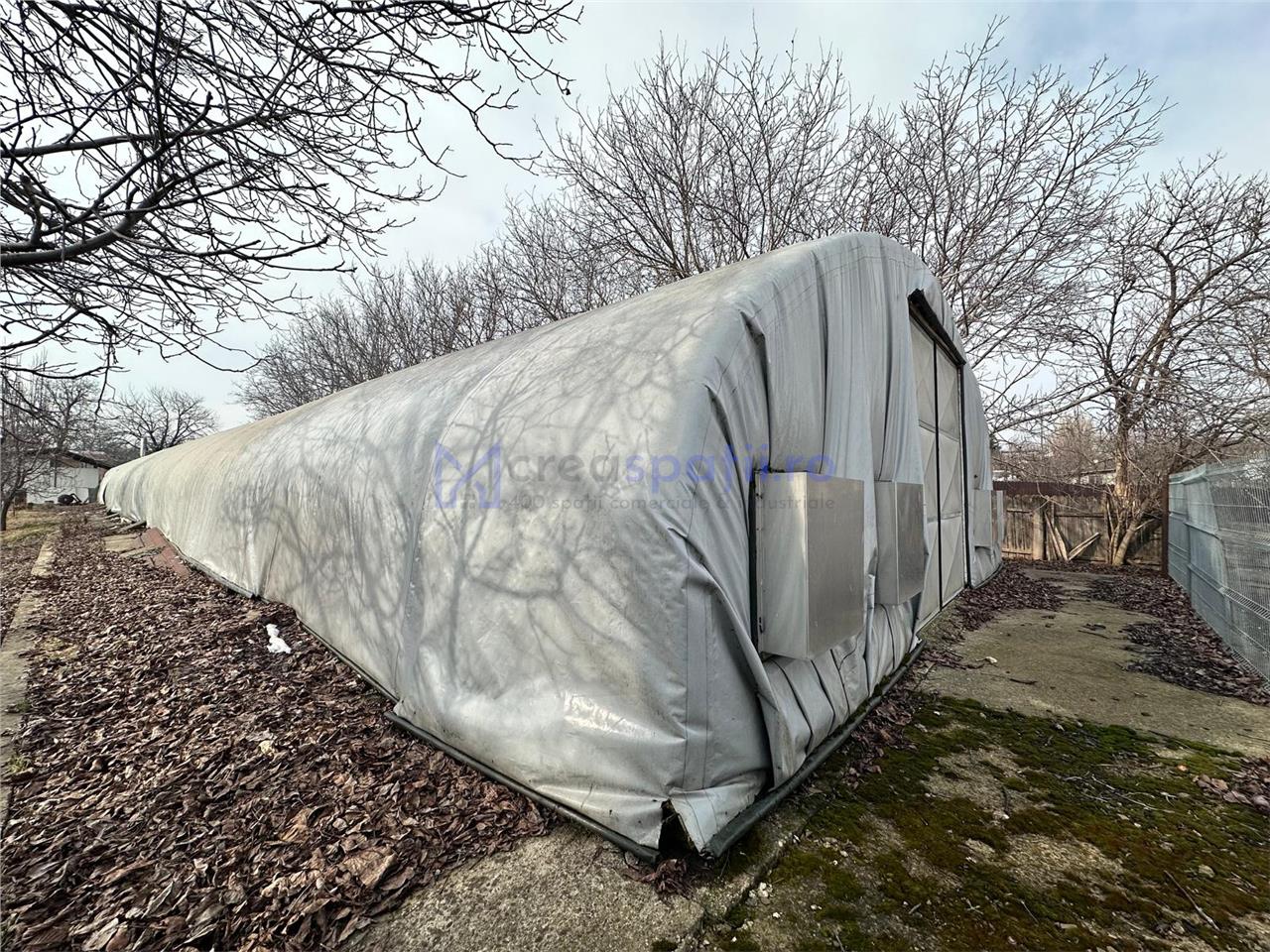 Hala/ cort ciupercarie, crestere pui, 400mp, Dumesti