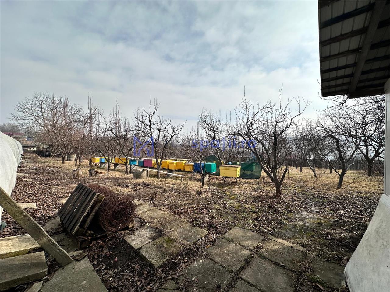 Hala/ cort ciupercarie, crestere pui, 400mp, Dumesti