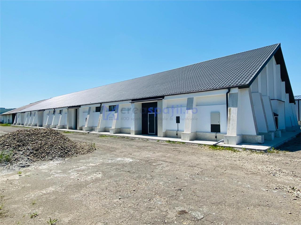 Hala depozitare, productie, showroom, de la 600mp la 1200mp, Lukoil Tg. Neamt