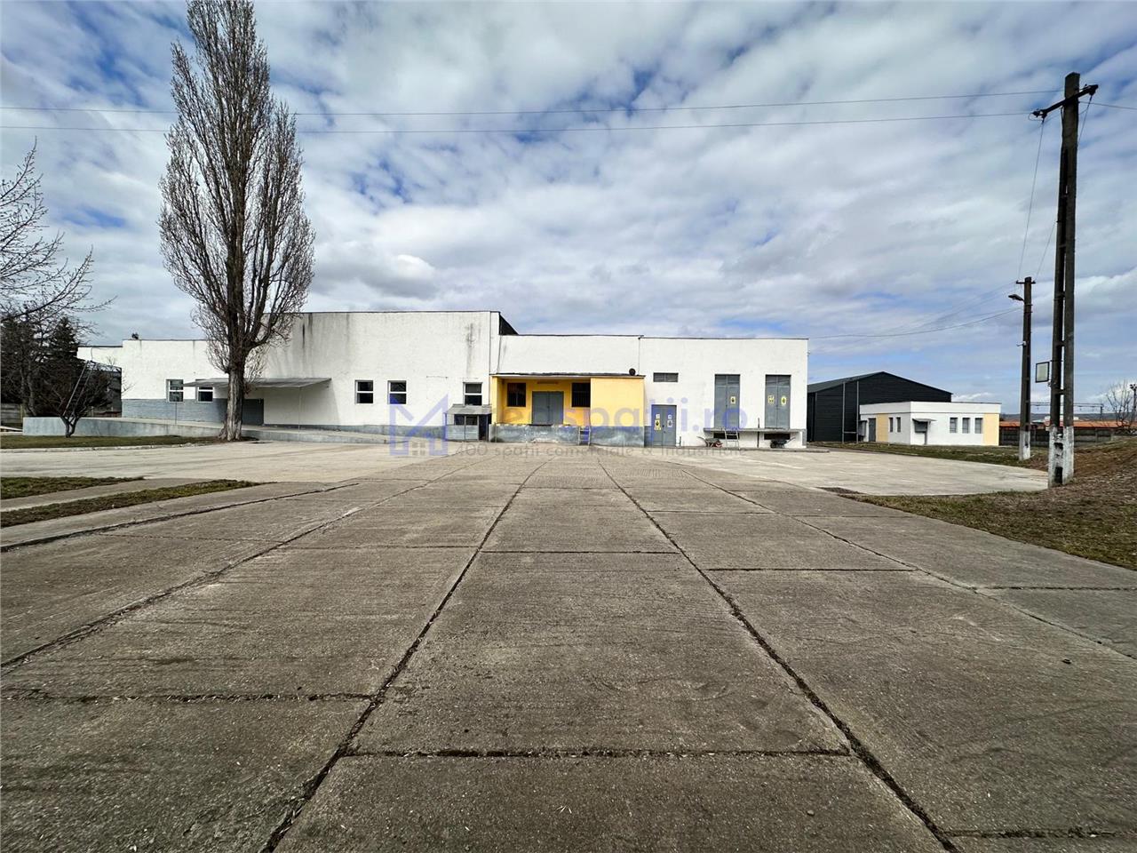 Hale/ spatii de inchiriat in jud. Iasi, Pascani, de la 500mp la 5000mp