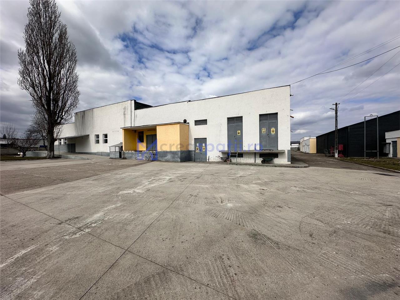 Hale/ spatii de inchiriat in jud. Iasi, Pascani, de la 500mp la 5000mp