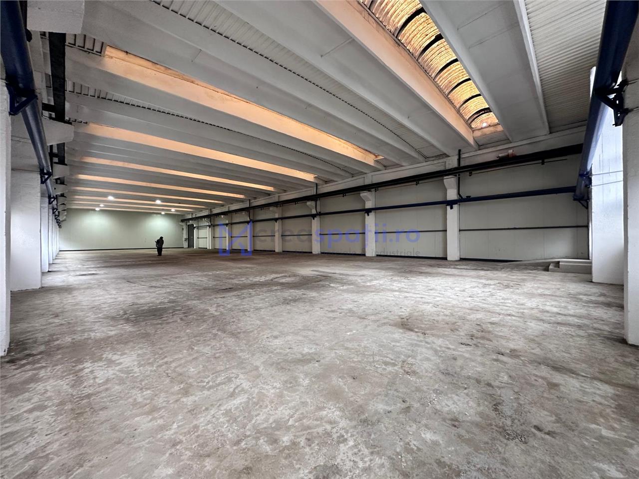 Inchiriere hala renovata Tatarasi Iasi, 990mp, zona noul Lidl