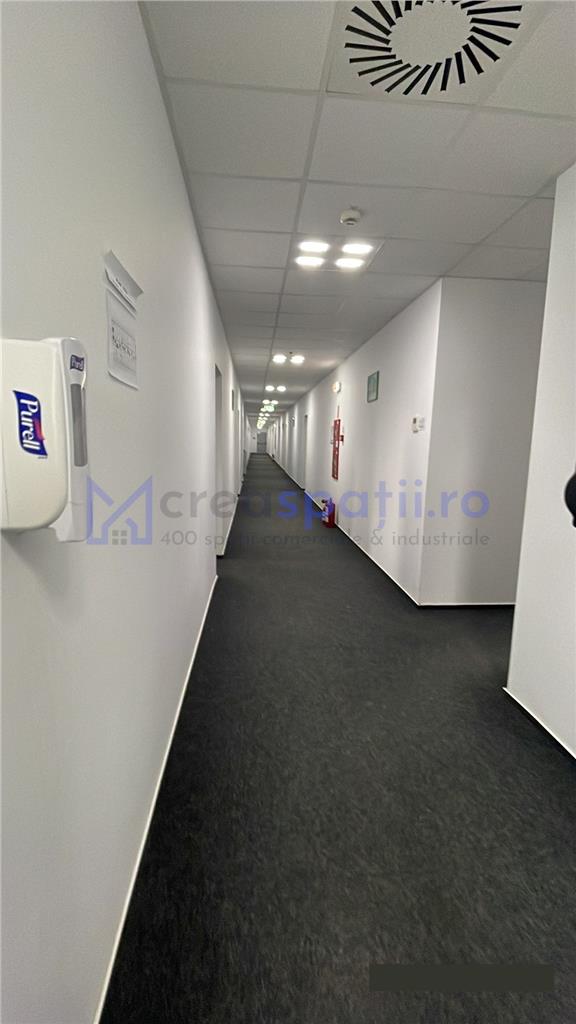 Cladire industriala; productie, logistica; 3026mp, Dumesti