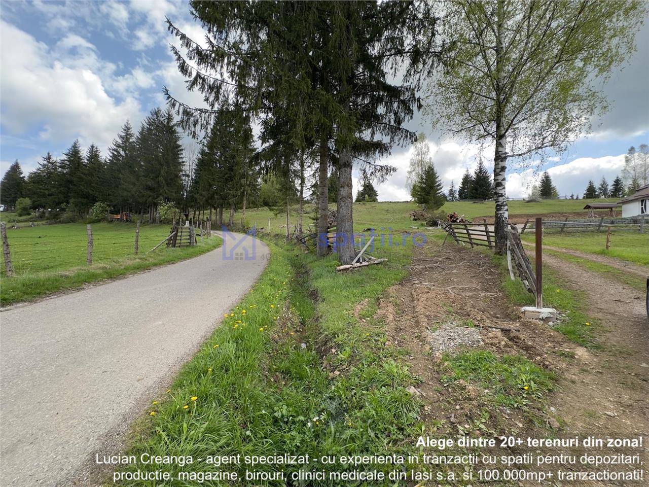 Teren la asfalt si priveliste frumoasa, 1000mp, Neagra Sarului