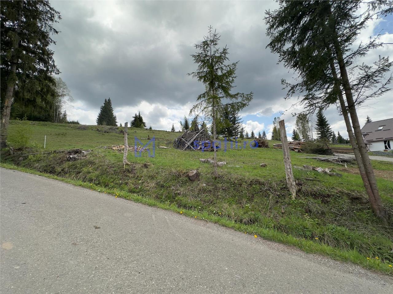 Teren la asfalt si priveliste frumoasa, 1000mp, Neagra Sarului