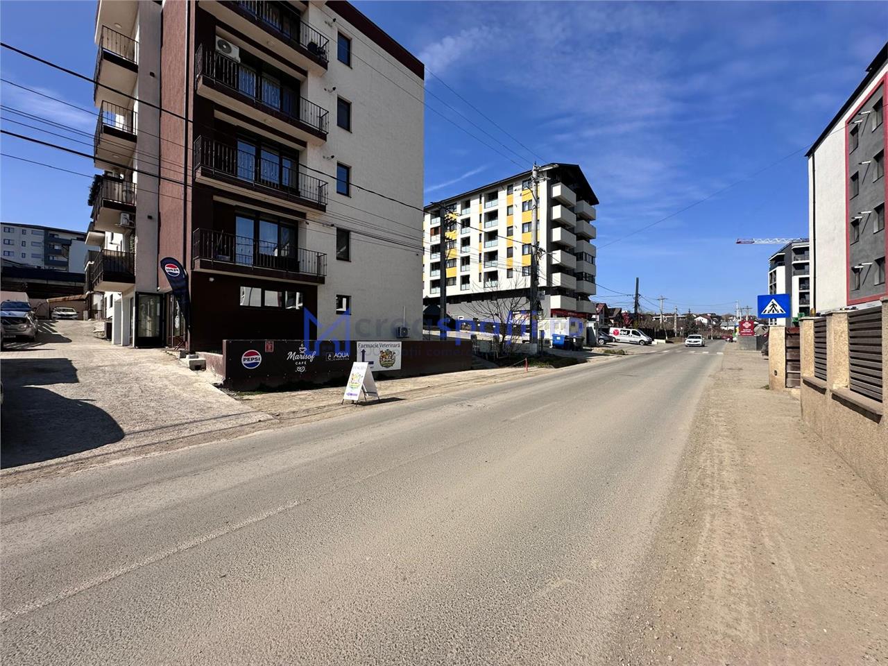 Spatiu comercial Visan  zona Profi, 176mp