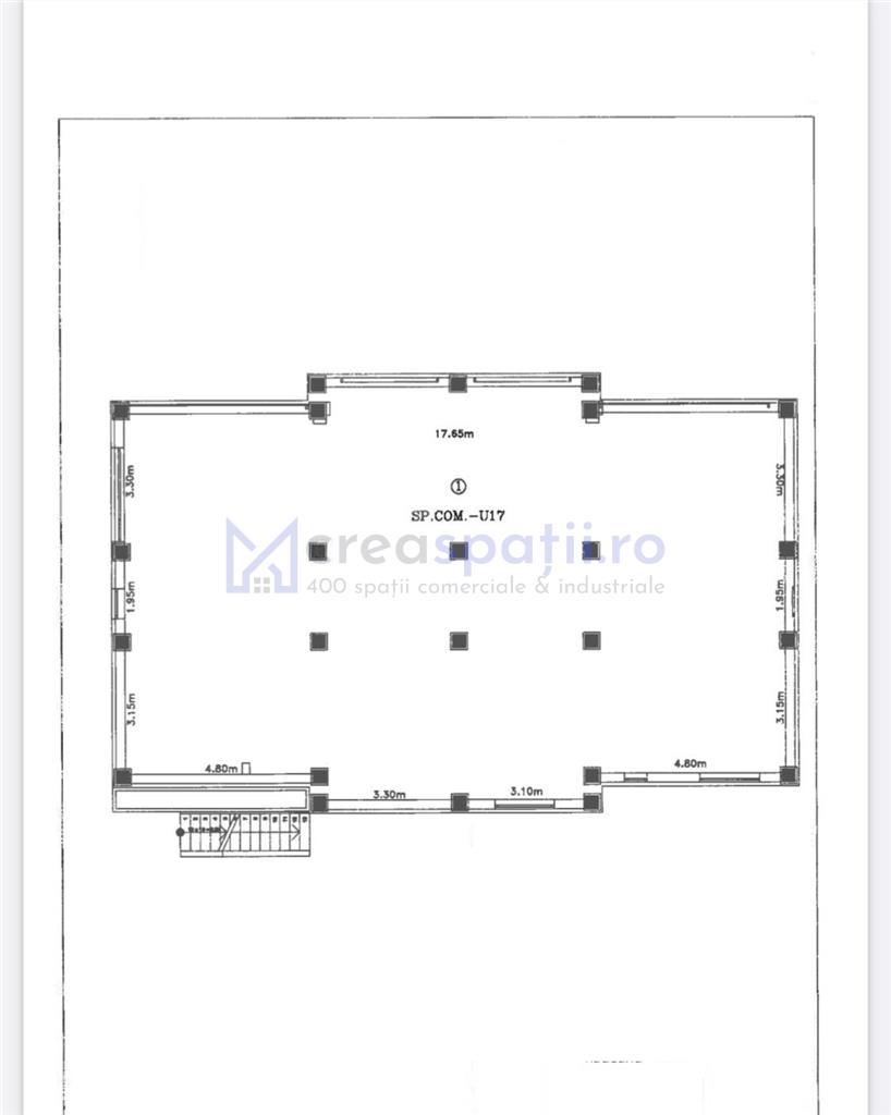 Spatiu comercial Visan  zona Profi, 176mp