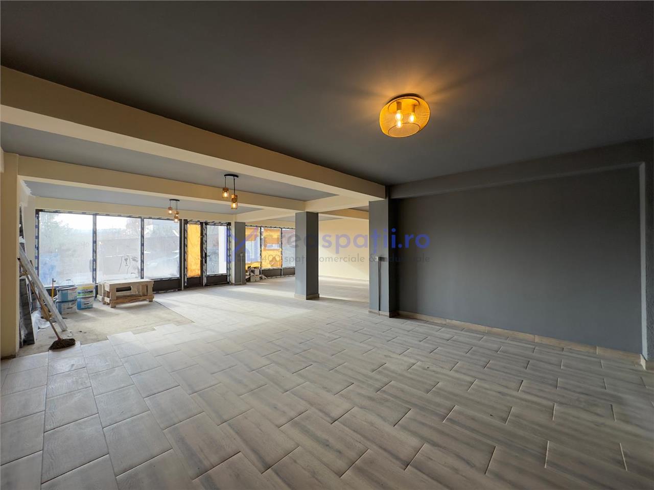 Spatiu comercial Visan  zona Profi, 176mp