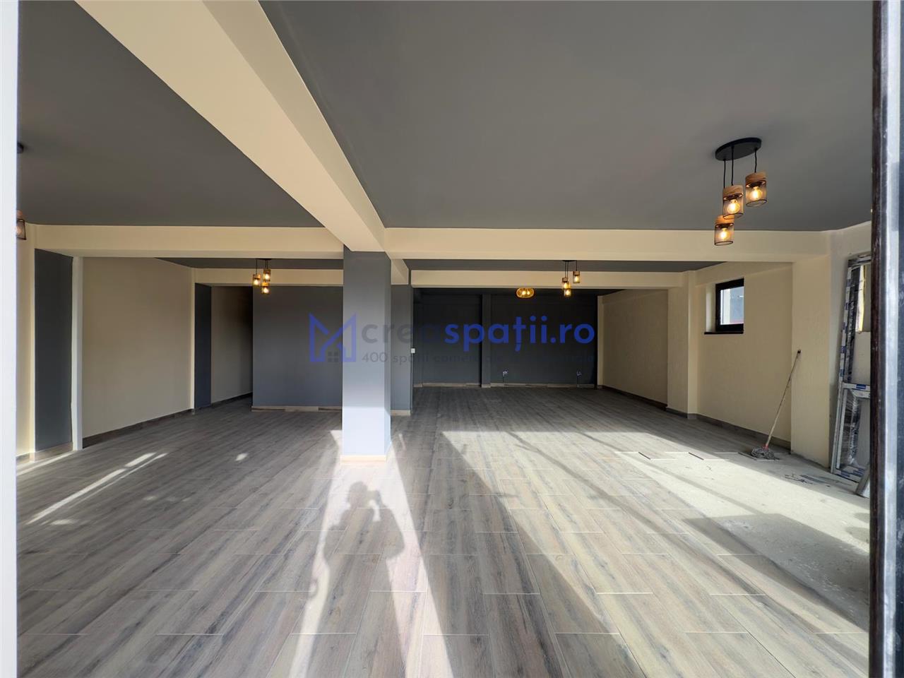 Spatiu comercial Visan  zona Profi, 176mp