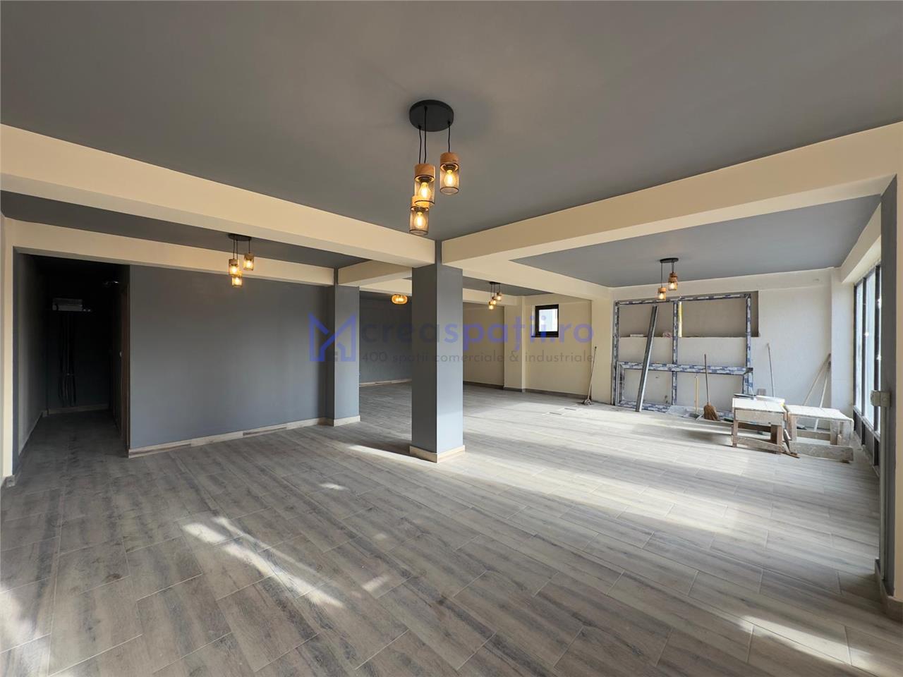 Spatiu comercial Visan  zona Profi, 176mp