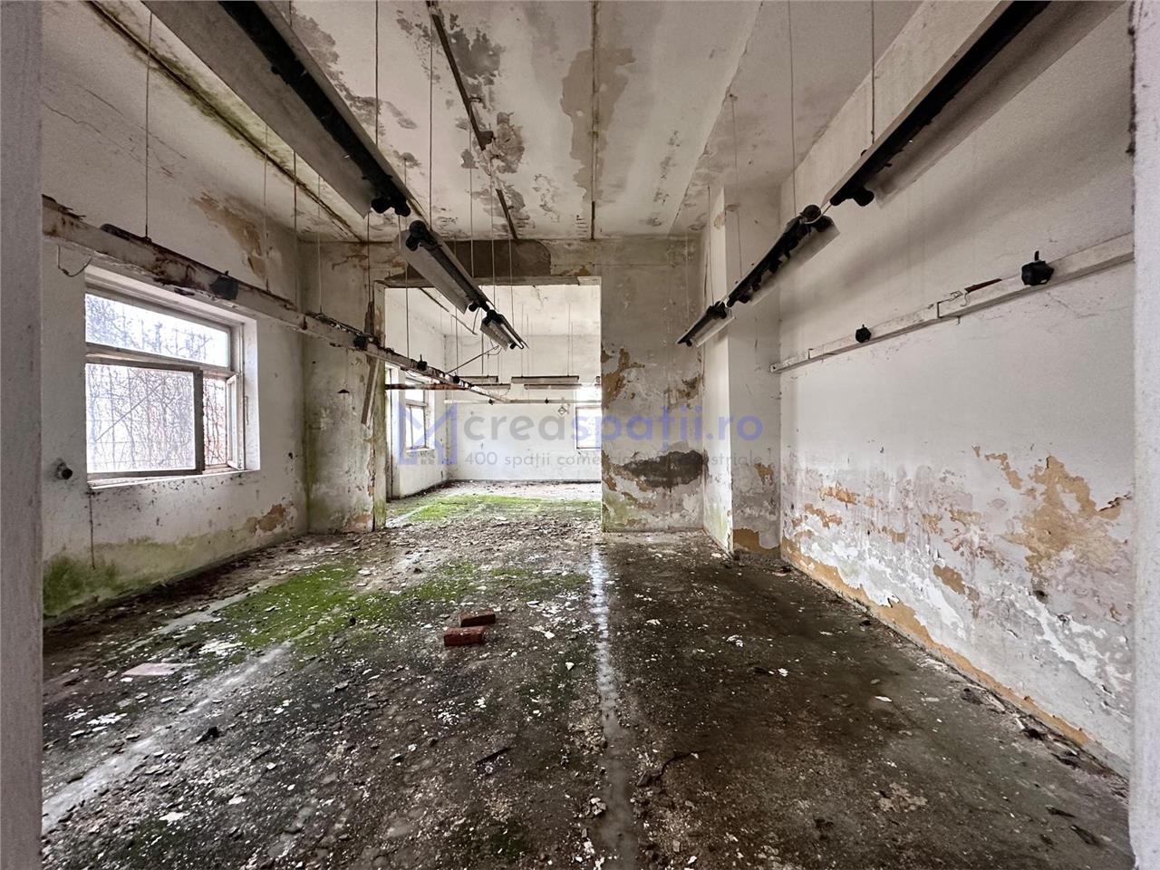 Hala, spatiu comercial, vad, de la 423mp la 1744mp, Vama Albita