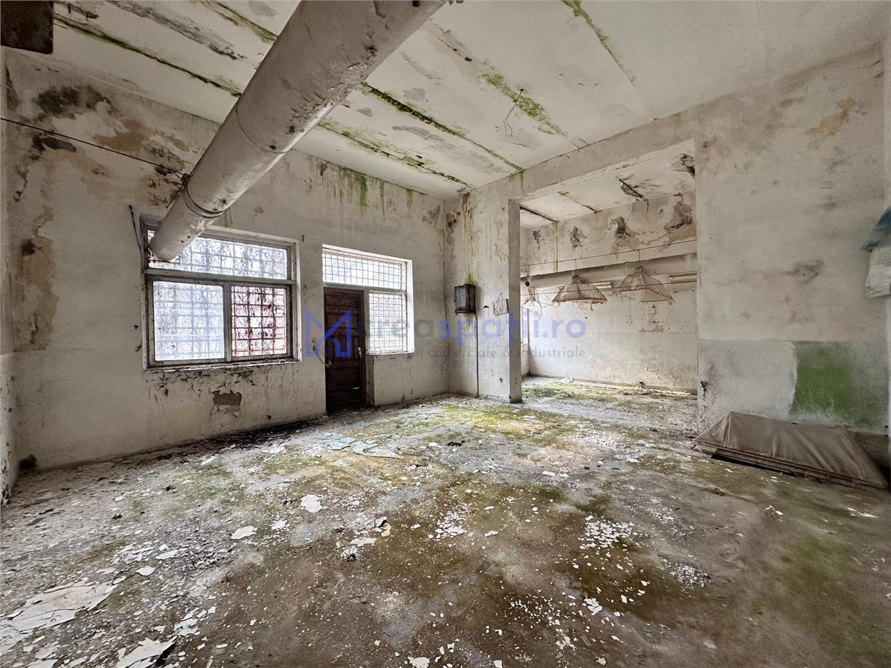 Hala, spatiu comercial, vad, de la 423mp la 1744mp, Vama Albita