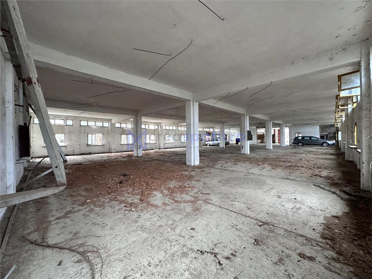 Hala, spatiu comercial, vad, de la 423mp la 1744mp, Vama Albita