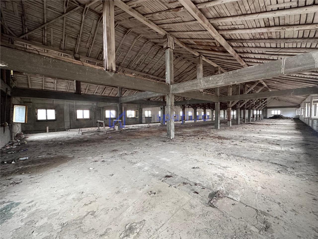 Hala, spatiu comercial, vad, de la 423mp la 1744mp, Vama Albita