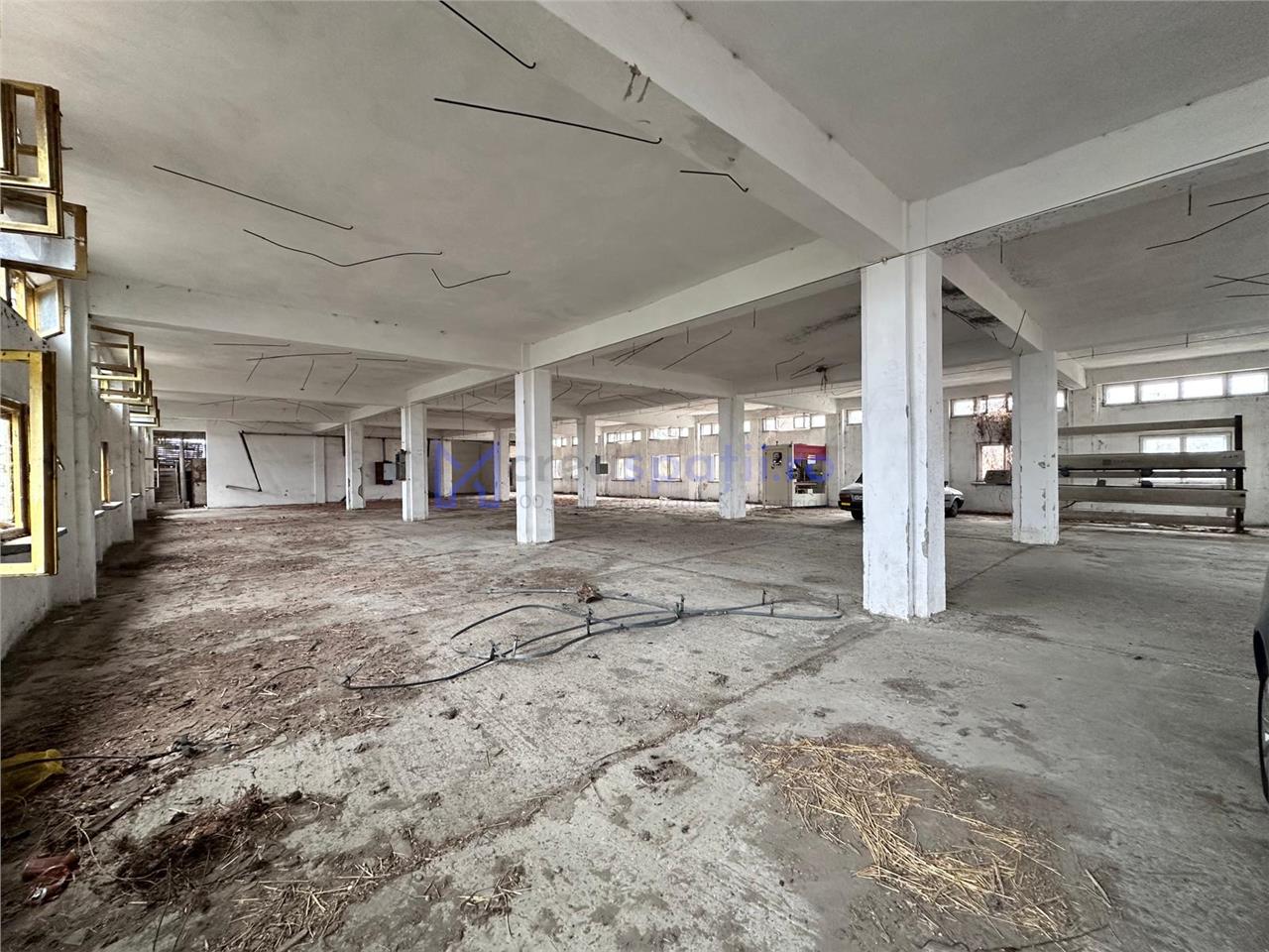 Hala, spatiu comercial, vad, de la 423mp la 1744mp, Vama Albita