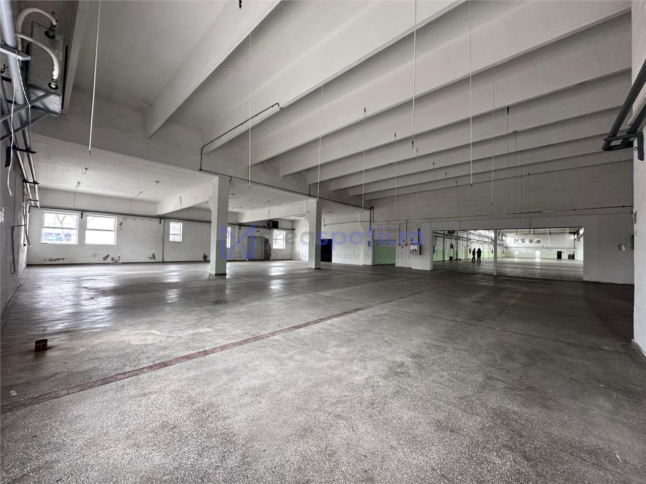 Hala/ spatiu comercial Pascani, 1500mp