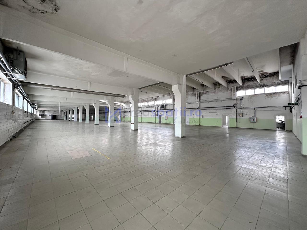Hala/ spatiu comercial Pascani, 1500mp