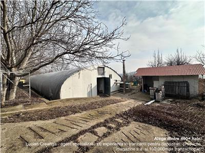Hala/ cort ciupercarie, crestere pui, 400mp, Dumesti